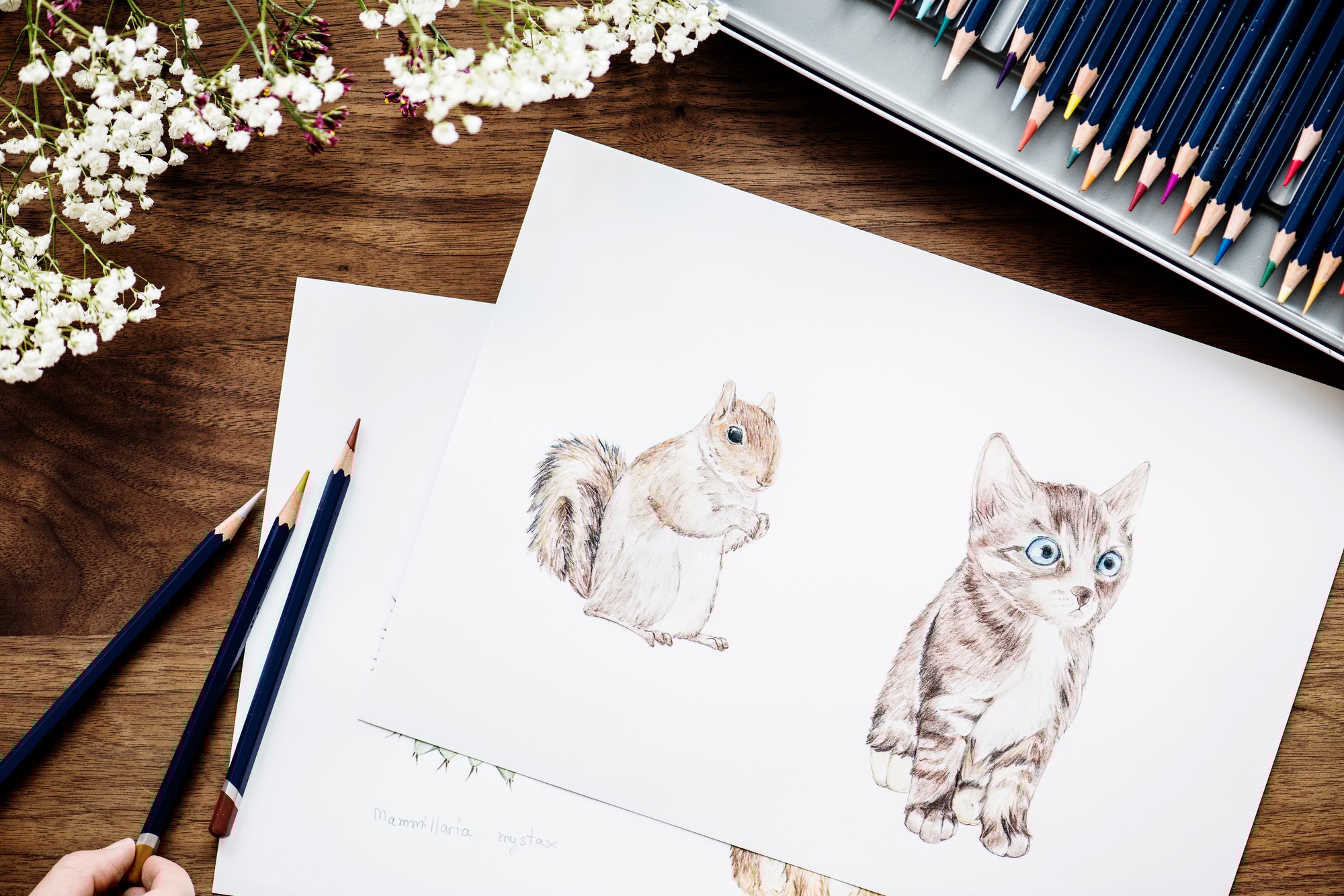 coloriage animaux